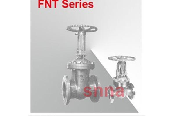 南通FNT閘閥