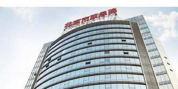 思城控股一季度新確認(rèn)合約額達(dá)2.56億港元，同比增長(zhǎng)78.6%，濟(jì)南建筑設(shè)計(jì)院表現(xiàn)亮眼