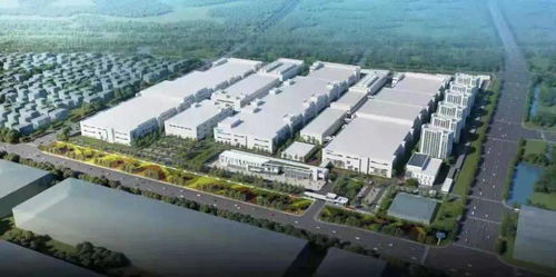 再砸5億 行業大佬來了 廈門這又硬氣了一回