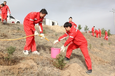 長慶油田采油七廠 企地共建“同心林”，科技賦能綠色發展