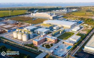 綠色引擎轟鳴 勝牌潤滑油與開米科思制冷材料項目引領保稅區環保產業新浪潮